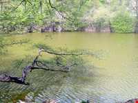 دریاچه شور مست