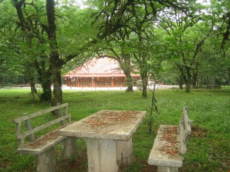 پارک جنگلی چالدره