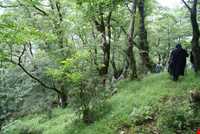 پارک جنگلی چالدره