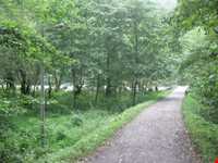 پارک جنگلی چالدره