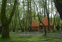 پارک جنگلی چالدره