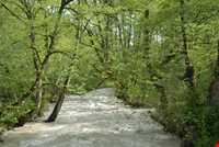 پارک جنگلی چالدره