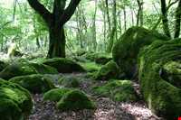 پارک جنگلی چالدره