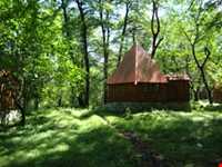 پارک جنگلی چالدره