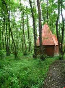 پارک جنگلی چالدره