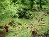 آبگرم فلکده