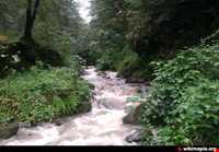 آبگرم فلکده