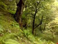 آبگرم فلکده