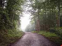 آبگرم فلکده