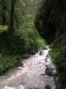 آبگرم فلکده