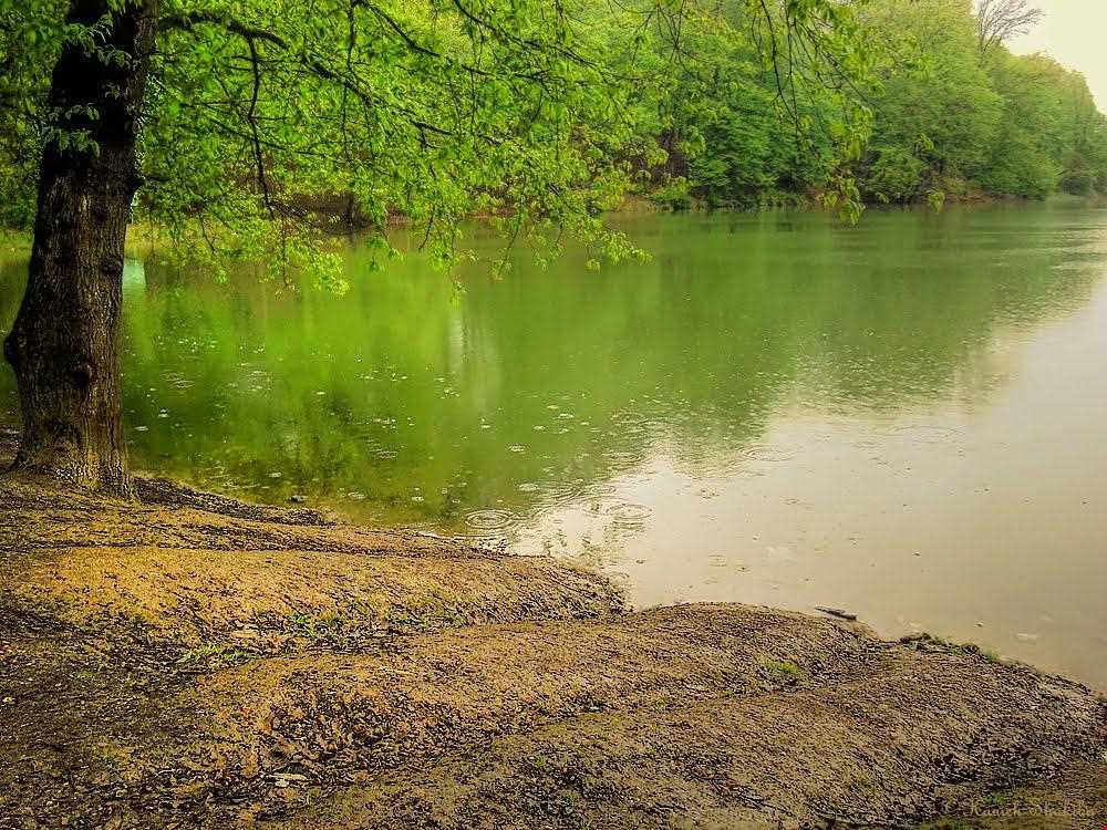 Abbas Abad historical complex