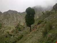 علم کوه