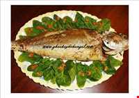 ماهی شکم پر