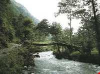 Khoshkedaran Jungle Park