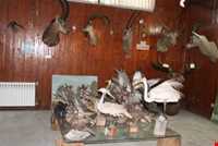 موزه حیات وحش خشکه داران