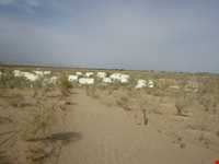 Maranjab desert