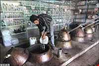 جشن و آیین گلابگیری