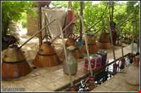 جشن و آیین گلابگیری