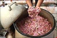 جشن و آیین گلابگیری