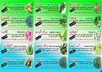 Rosewater and other extracted sap plants