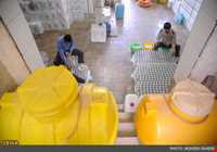 Rosewater and other extracted sap plants