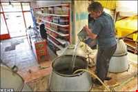 Rosewater and other extracted sap plants