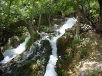 آبشار نیاسر