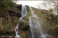 آبشار نیاسر