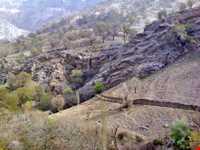 منطقه حفاظت شده شالو و منگشت