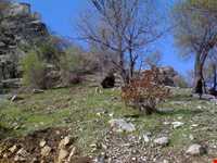 منطقه حفاظت شده شالو و منگشت