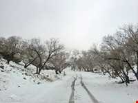 منطقه حفاظت شده شالو و منگشت