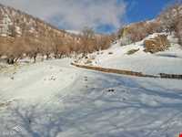 منطقه حفاظت شده شالو و منگشت