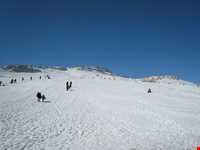 پیست بین المللی اسکی نسار بیجار