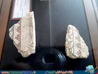 شهر تاریخی بیشاپور