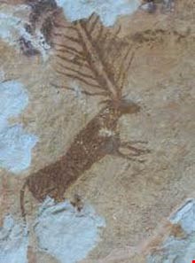 Homian Cave Paintings