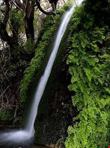 Dalfard waterfall