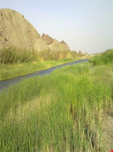mashkid river