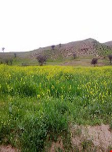 Haft (Seven) Shahidan protected area