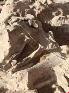 Maragheh fossilized region