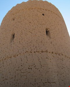 saryazd castle