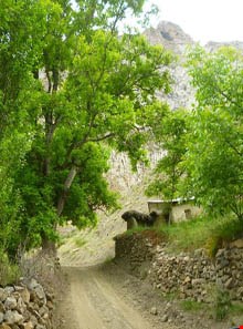Hikoh village