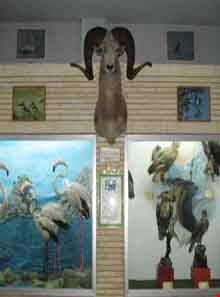 Natural history museum of tabriz