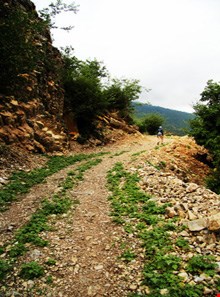 روستای سینه هونی