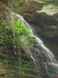 روستا و آبشار ساسنگ