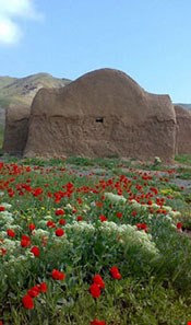 Bagh Keshmir Protected Area