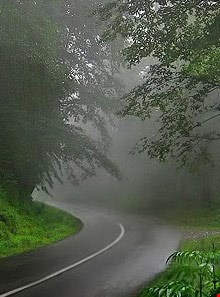 جنگل و جاده عباس‌آباد