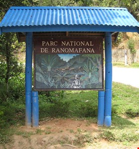 Ranomafana National Park